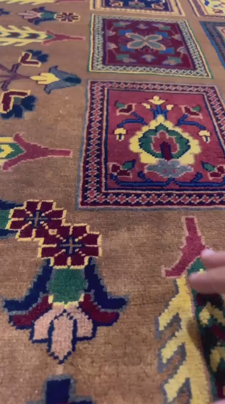 Detailed video
