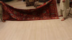 The Mazar-e-Sharif Kashan Garden Legacy | Hand-Knotted Afghan Wool Carpet